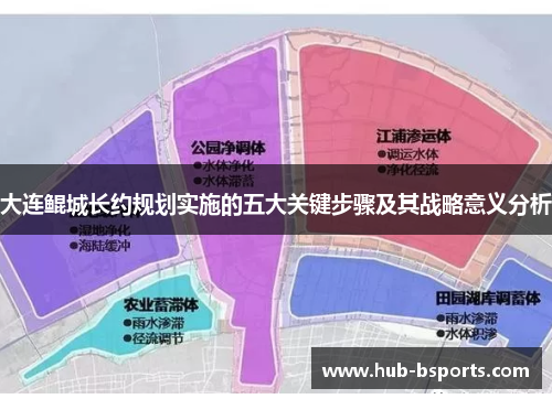 大连鲲城长约规划实施的五大关键步骤及其战略意义分析