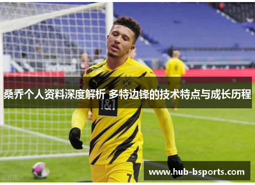 桑乔个人资料深度解析 多特边锋的技术特点与成长历程