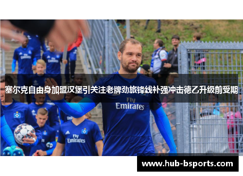 塞尔克自由身加盟汉堡引关注老牌劲旅锋线补强冲击德乙升级前受期