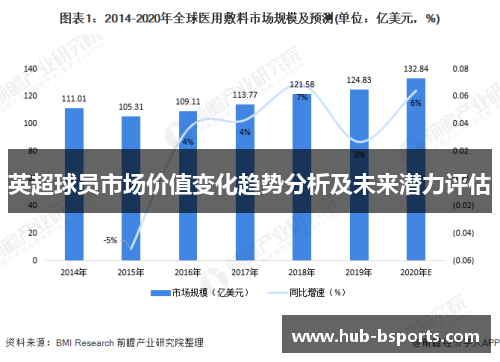 英超球员市场价值变化趋势分析及未来潜力评估